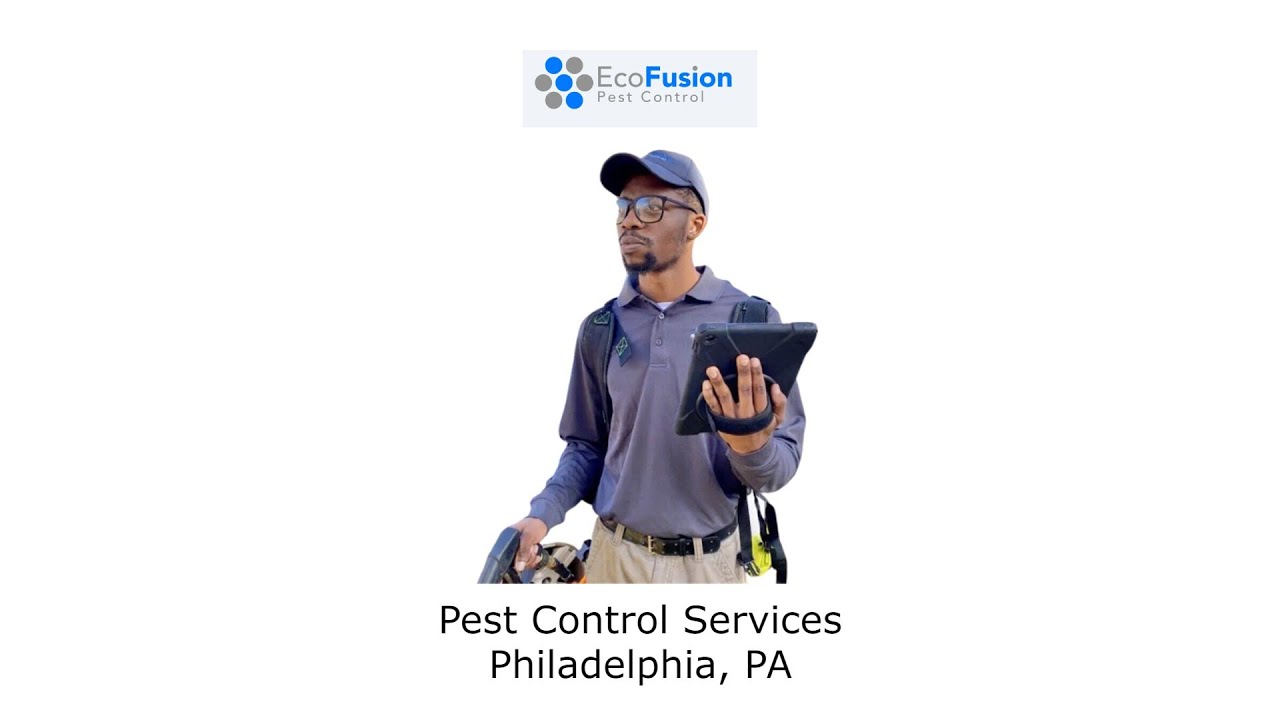 Pest Control Services Philadelphia, PA - EcoFusion Pest Control
