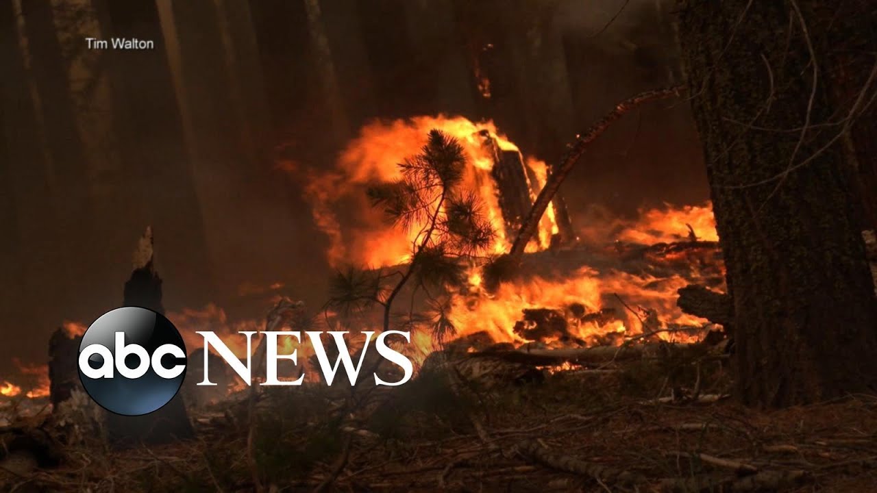 Wildfire rages near Yosemite National Park l GMA