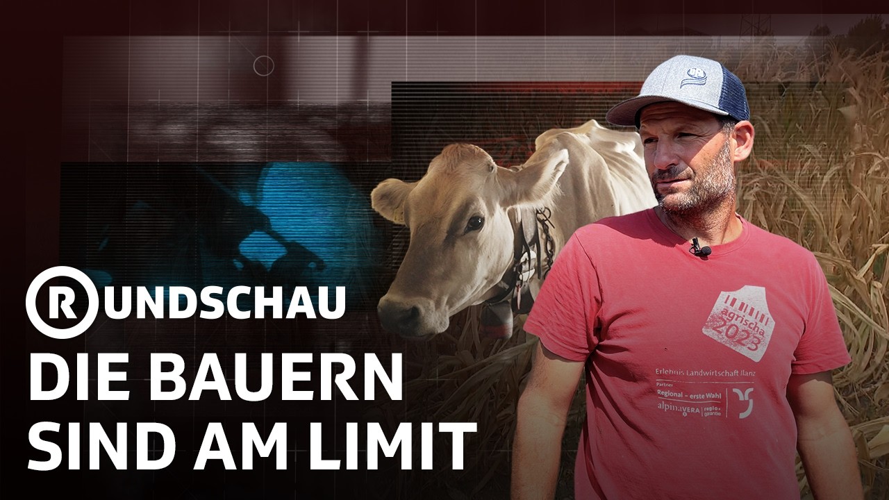 Bauern am Limit: Die Folgen der Hitzewelle | Rundschau | SRF