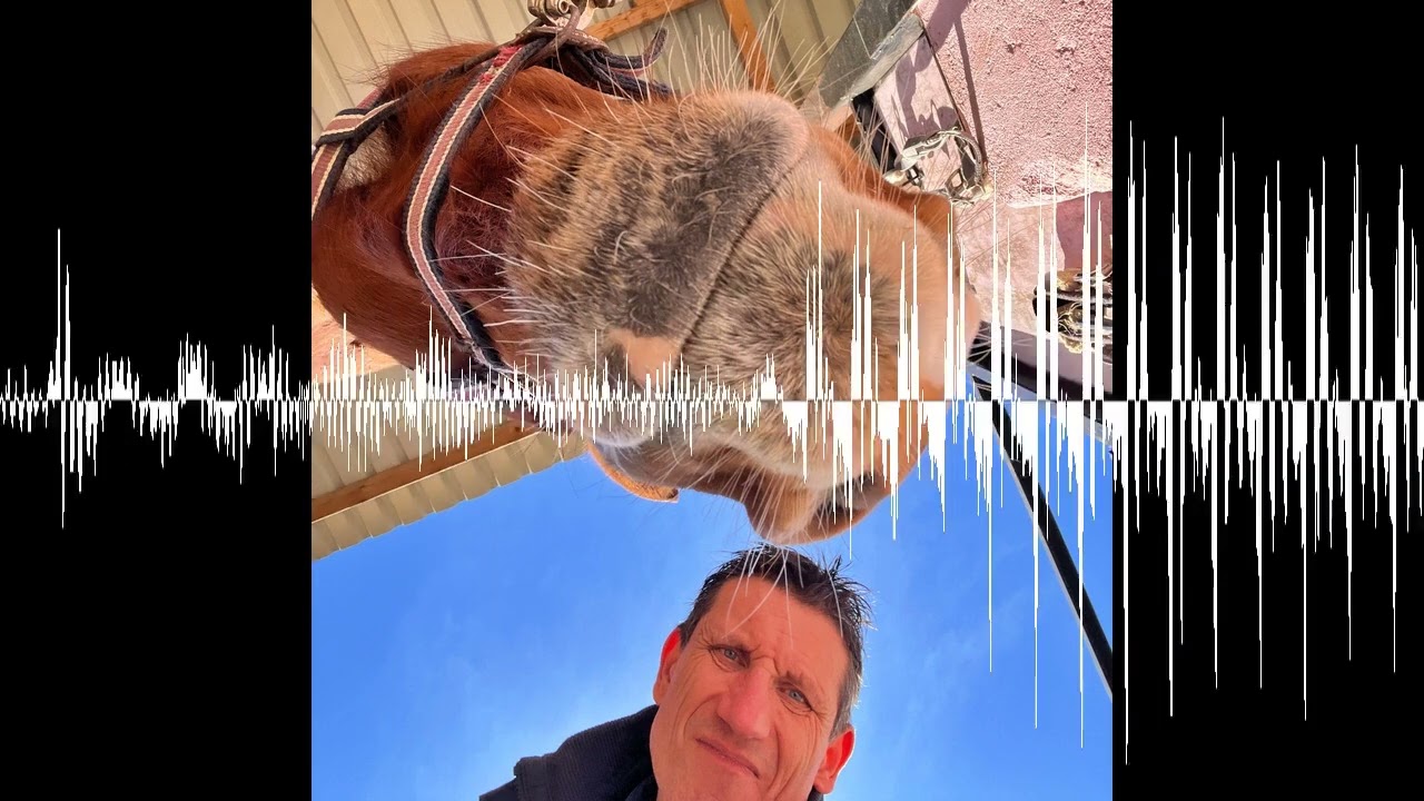 #418 Adrenalin 1000 - und trotzdem ruhig bleiben - Der Pferdepodcast