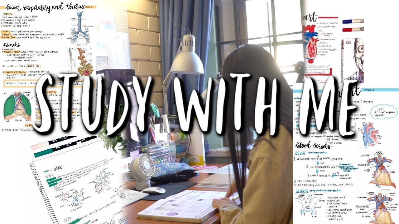 STUDY WITH ME! | studycollab: Alicia