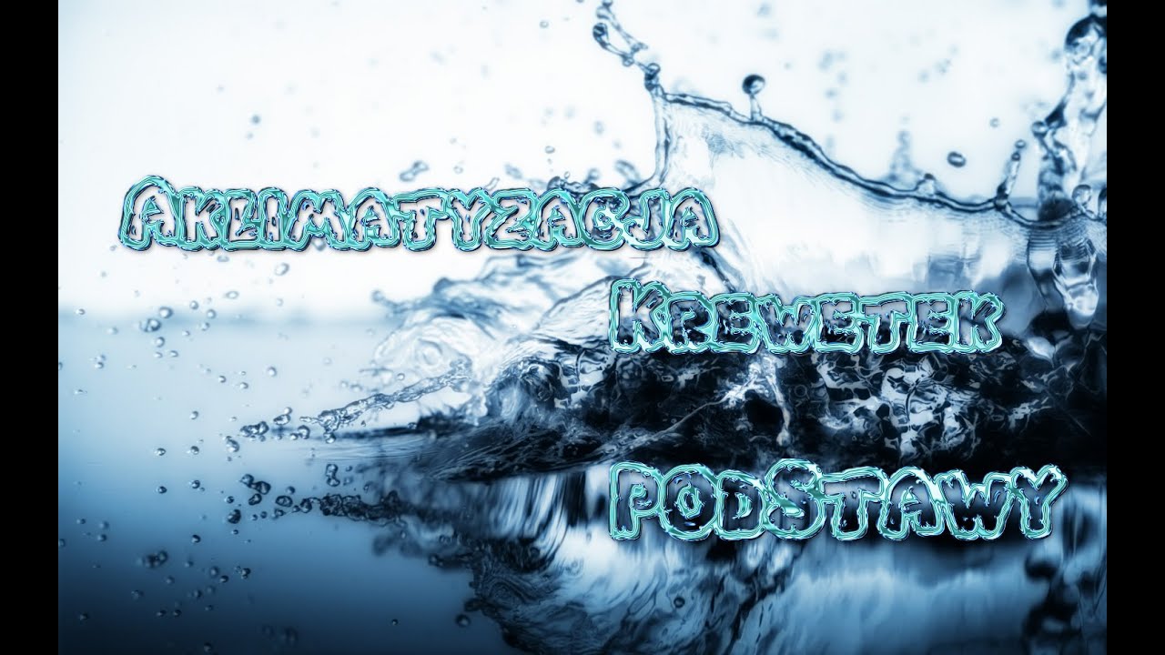 Aklimatyzacja krewetek akwariowych / Podstawy / Krewetkarium