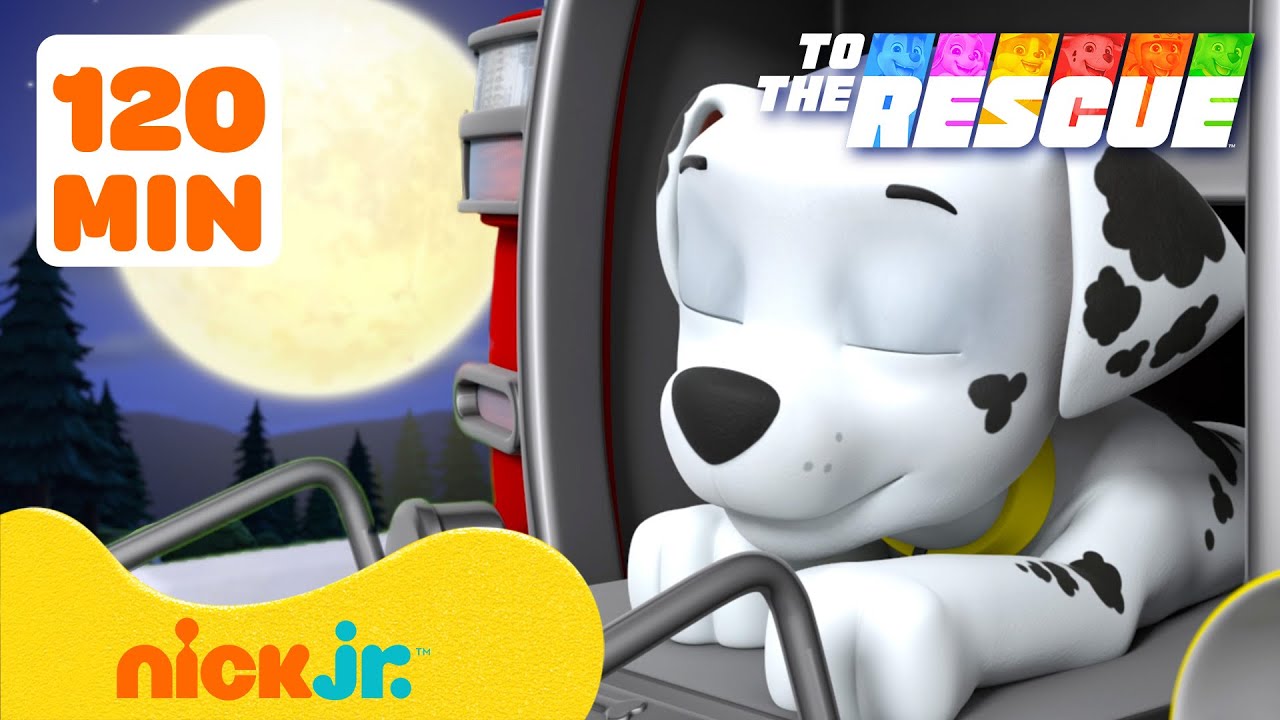 PAW Patrol To The Rescue: Bedtime Healthy Habits for 90 Minutes 😴 | Nick Jr.