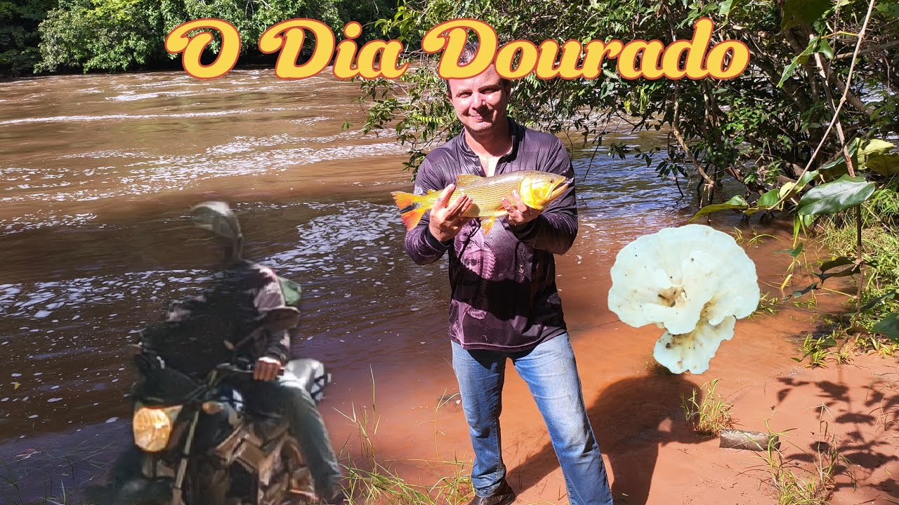 O DIA DOURADO #piau #Dourado #lama #bagre #jausapo #SELVAGEM #PEIXE #FISH #PESCA #RIO #CAchoeira