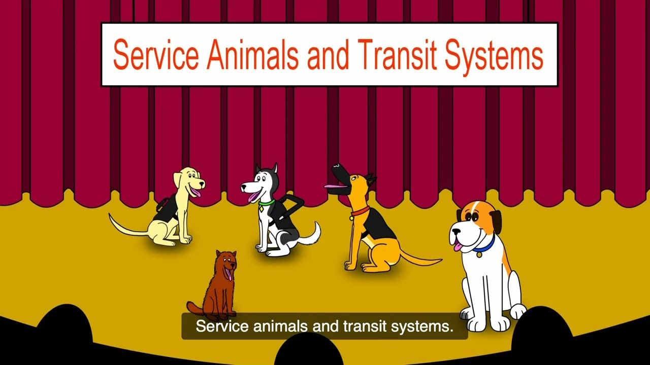 Service Animals and Transit Systems