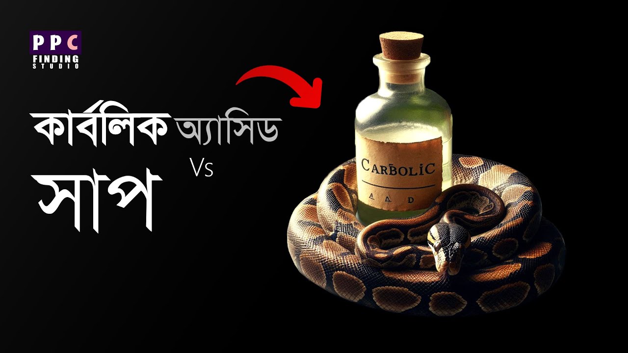 সাপের ঘ্রাণশক্তি কি আছে | কার্বলিক অ্যাসিডে কি সাপ তাড়ানো যায় | Carbolic acid vs Snake