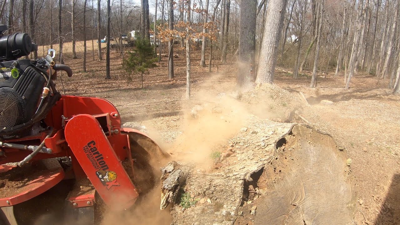MORE STUMP REMOVAL WITH A CARLTON  SP 5014