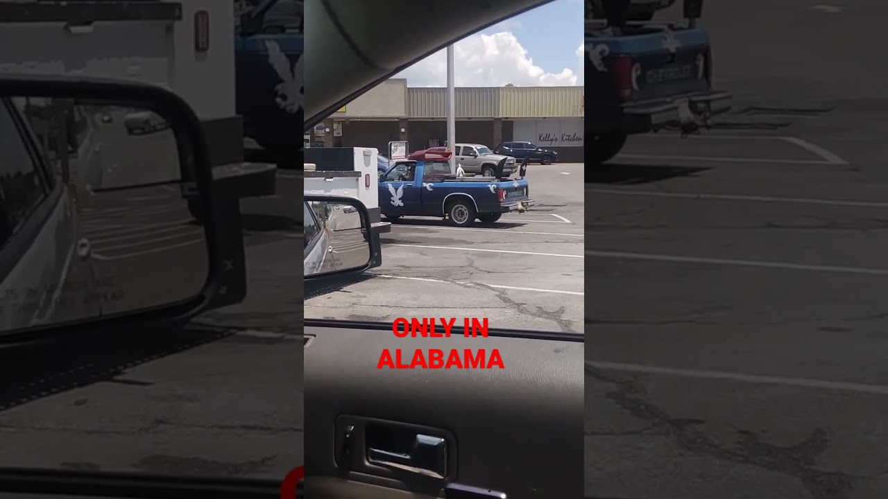 100% ALABAMA REDNECK #truck #tools #car #redneck #alabama #chevy