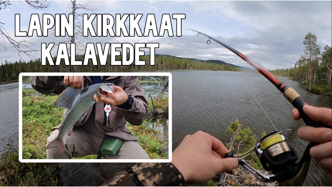 HARJUKSEN JA TAIMENEN KALASTUSTA LAPISSA