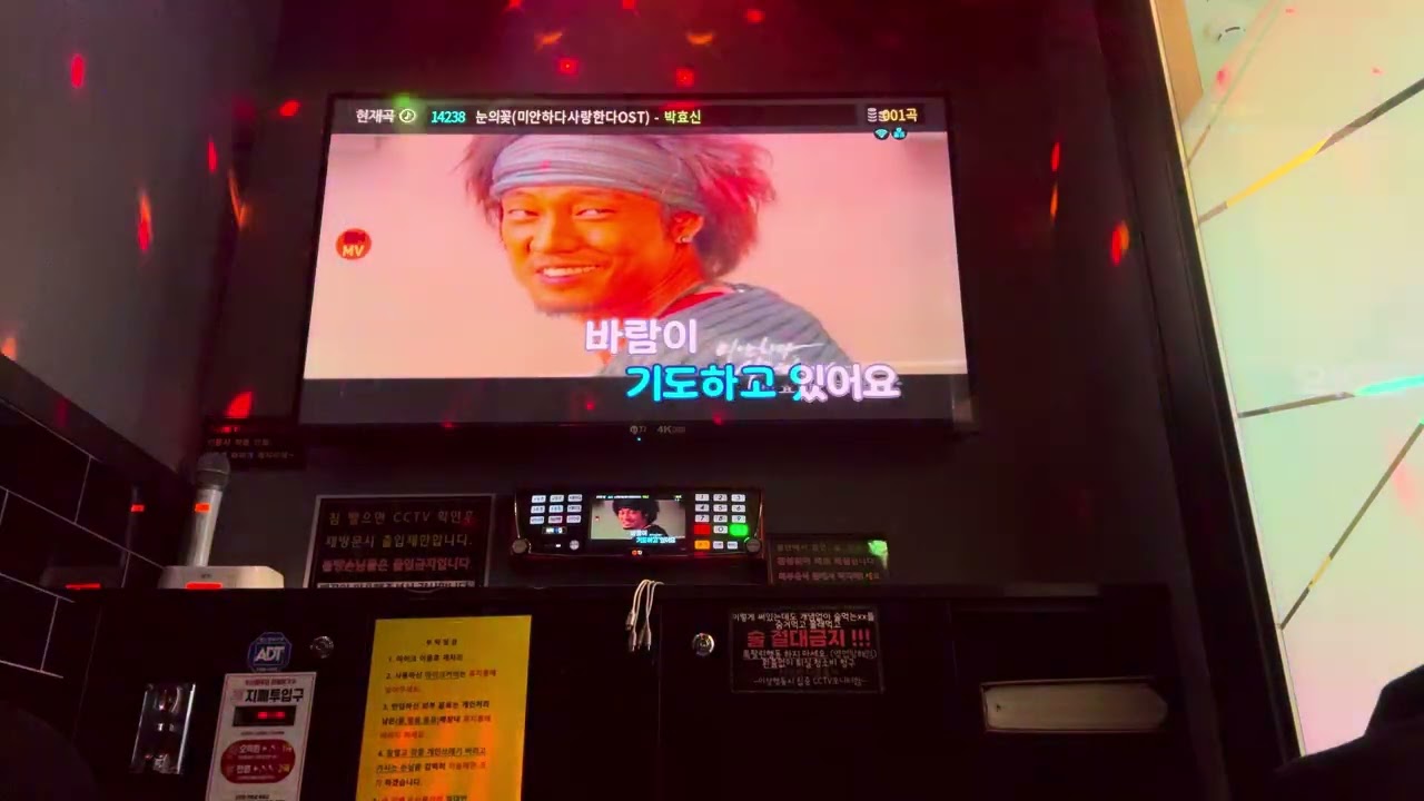 눈의 꽃 - 박효신