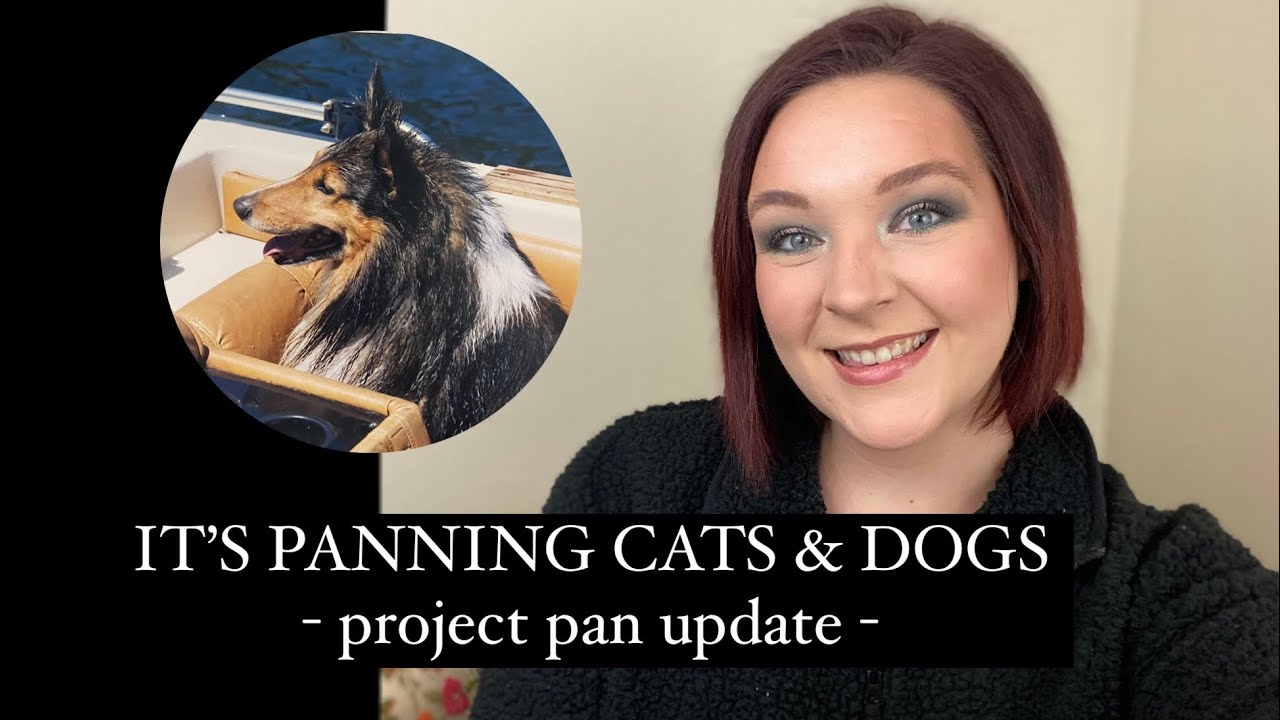 It&rsquo;s Panning Cats & Dogs // Update 1 // #panningpetspp
