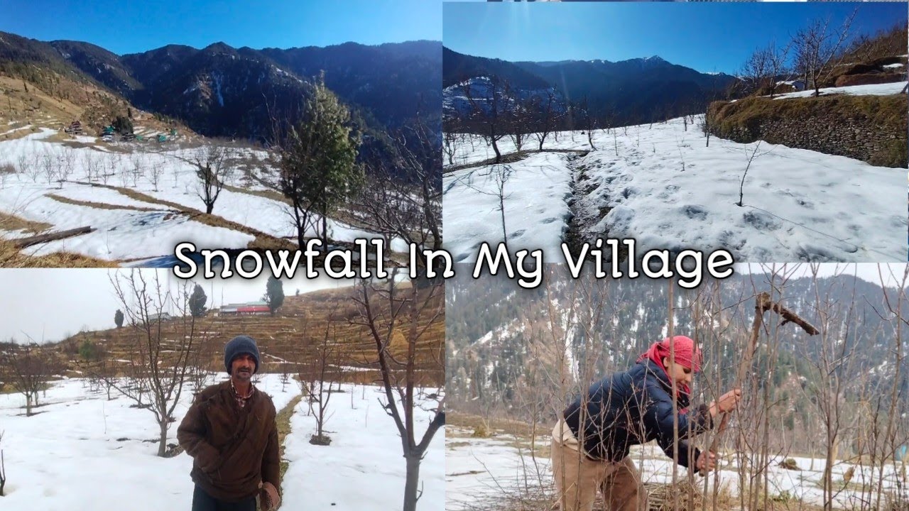 Snowfall In My Village | #winter #village #himachalpradesh #snow 
