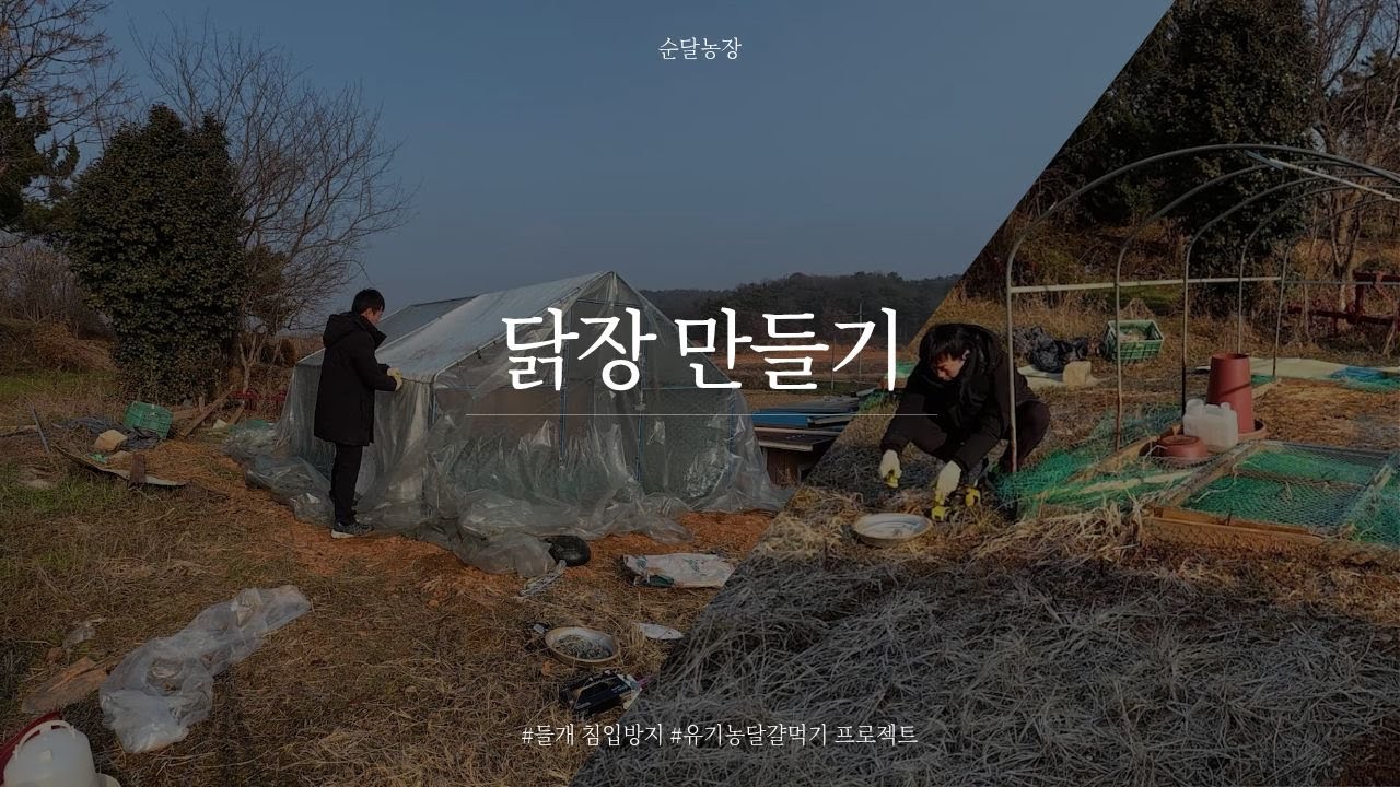 닭장만들기