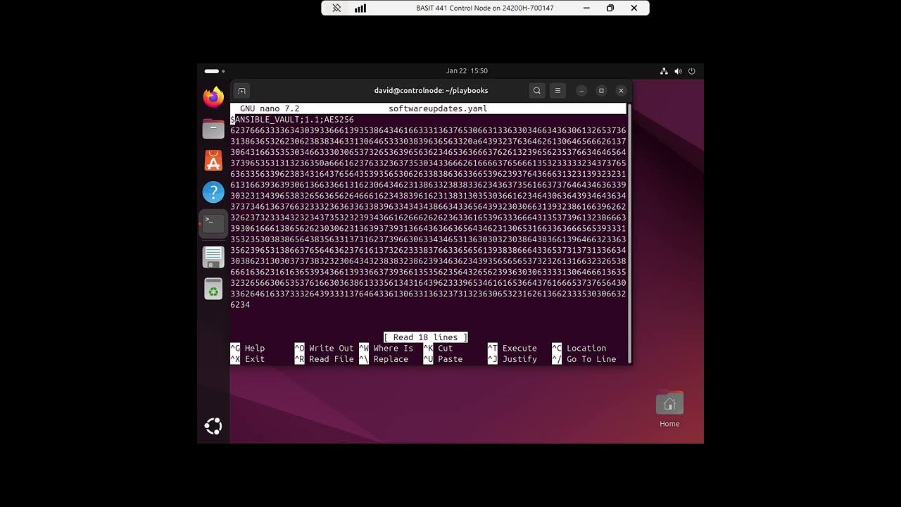 Working with the Ansible Vault