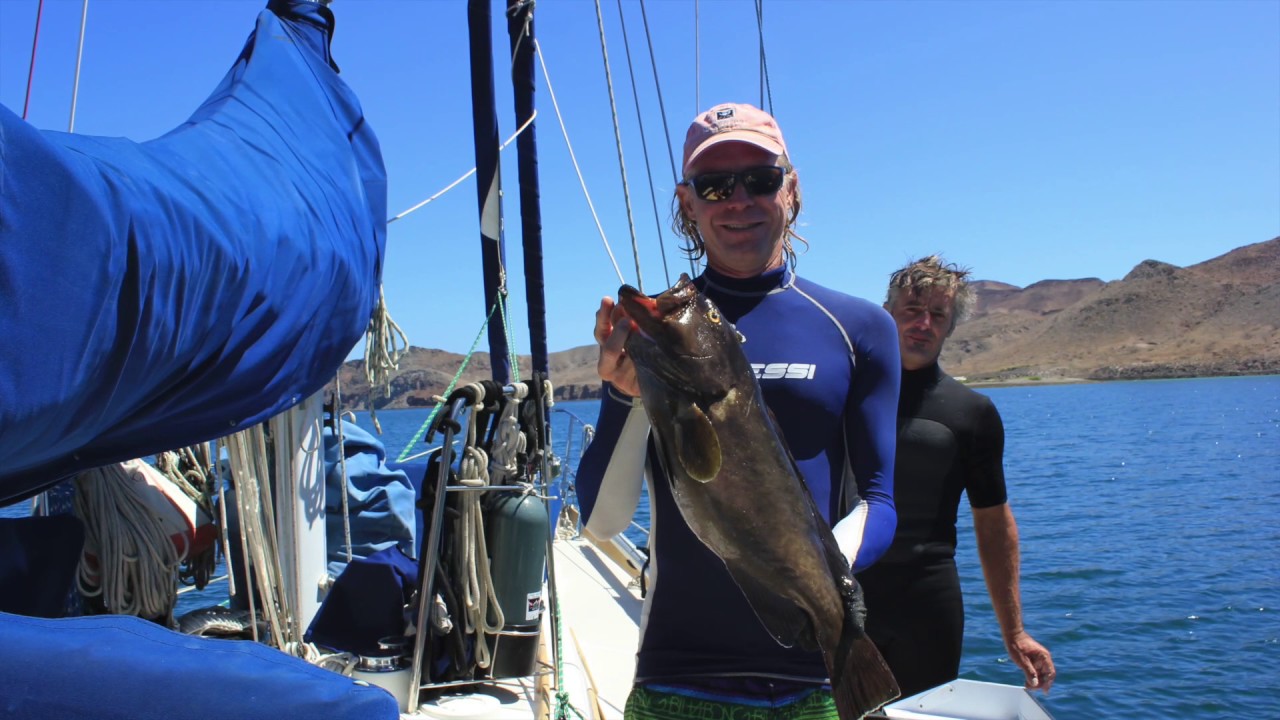 Sea of Cortez Part 3