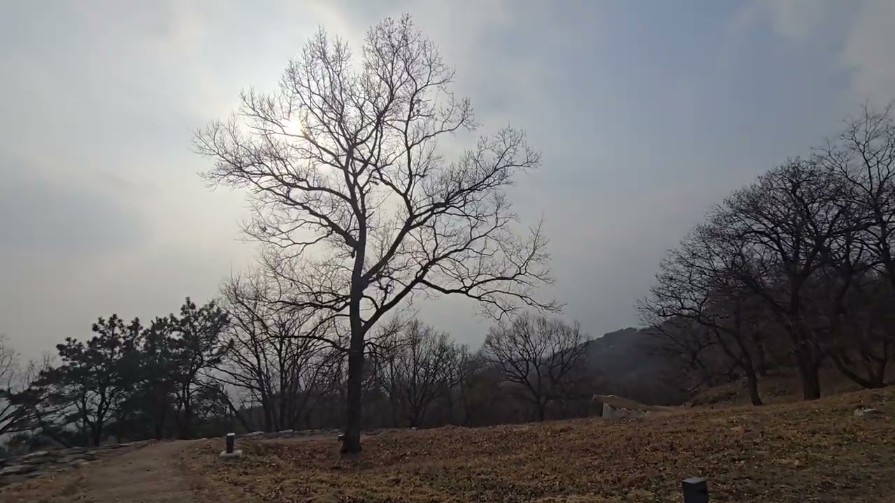 반월산성