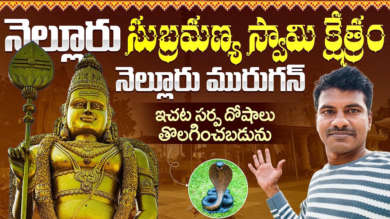 Kanuparthipadu Subramanyam swamy Temple Nellore |ఇచ్చట నాగ దోష నివారణ చేయబడును|