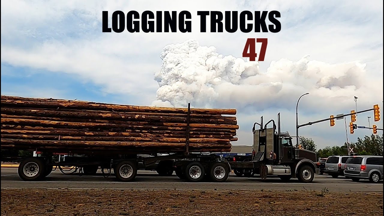 TRI-DRIVE LOGGING TRUCKS (KENWORTH, PETERBILT, WESTERN STAR) HAULING SHORT & LONG LOGS / VIDEO #47