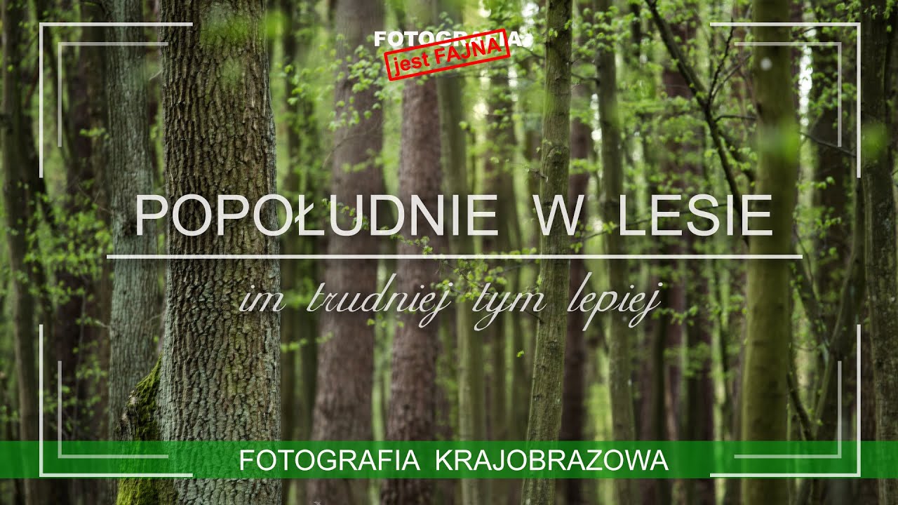 🚩 Popołudnie w lesie czyli im trudniej tym lepiej - fotografia krajobrazowa  Fotografia jest Fajna