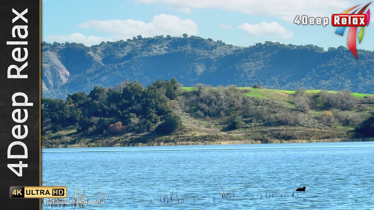 Relax, Breathe, and Reset by the Lake! Nature's Answer to Your Racing Thoughts!