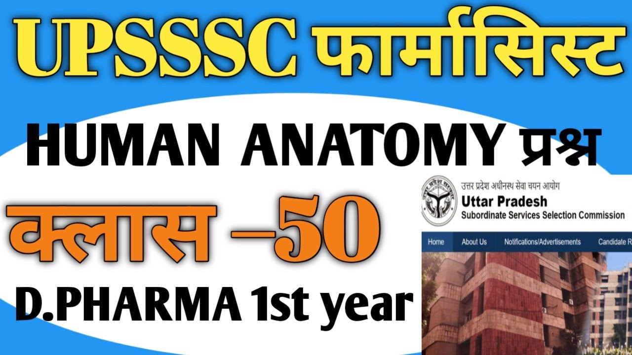 #upssscpharmacist UPSSSC PHARMACIST मुख्य परीक्षा क्लास 50 ANATOMY URINE questions #pharmacist 