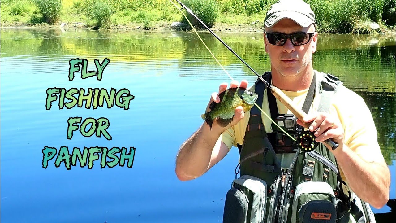 Fly Fishing for Panfish || Wild Water Fly Fishing Combo