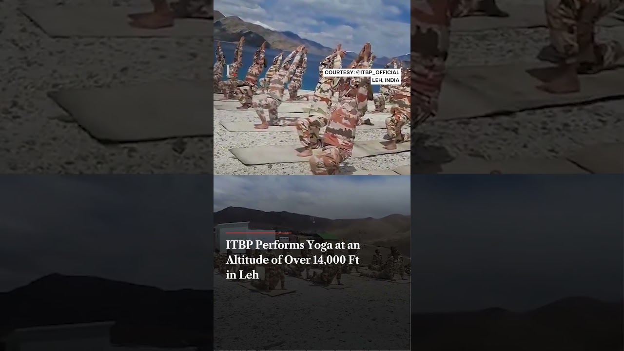ITBP Performs Yoga at an Altitude of Over 14,000 Ft in Leh | Subscribe to Firstpost