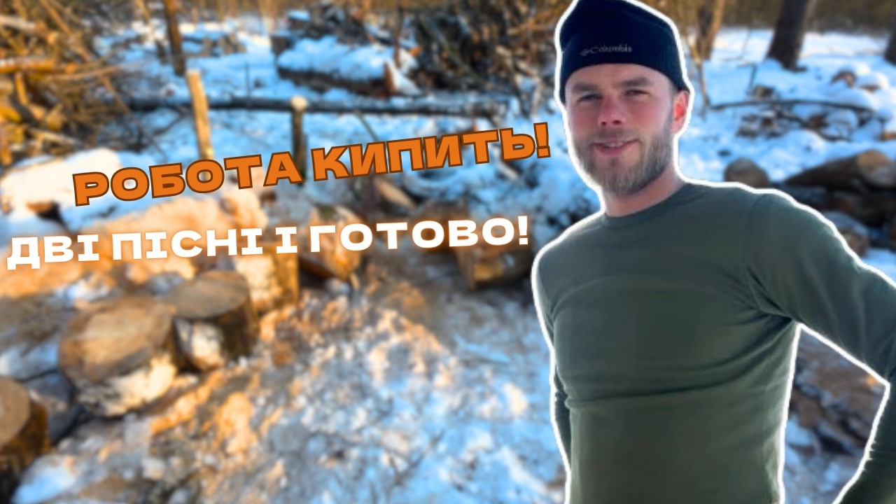 Ліс гуде від бензопили | Робота без зупинки