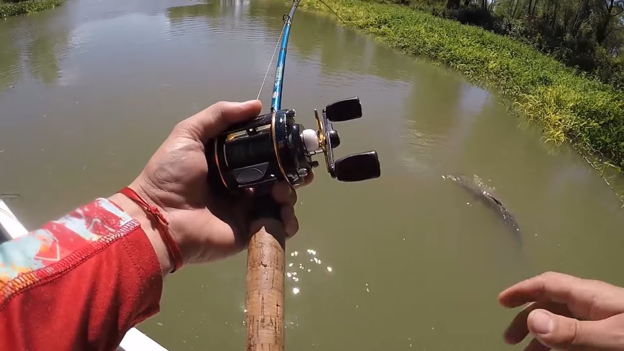PESCA de SURUBI muy GRANDE CON SEÑUELO | RIO PARANA
