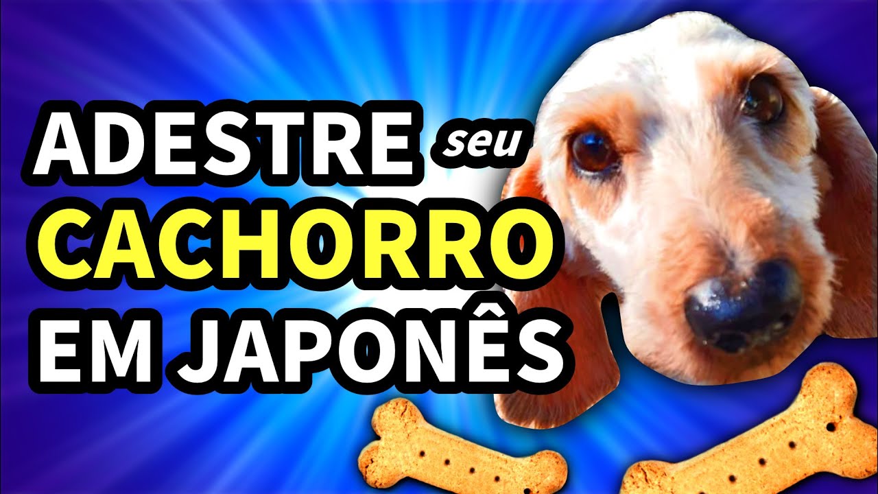 Adestrando MEU CACHORRO em Japonês | NihonGO