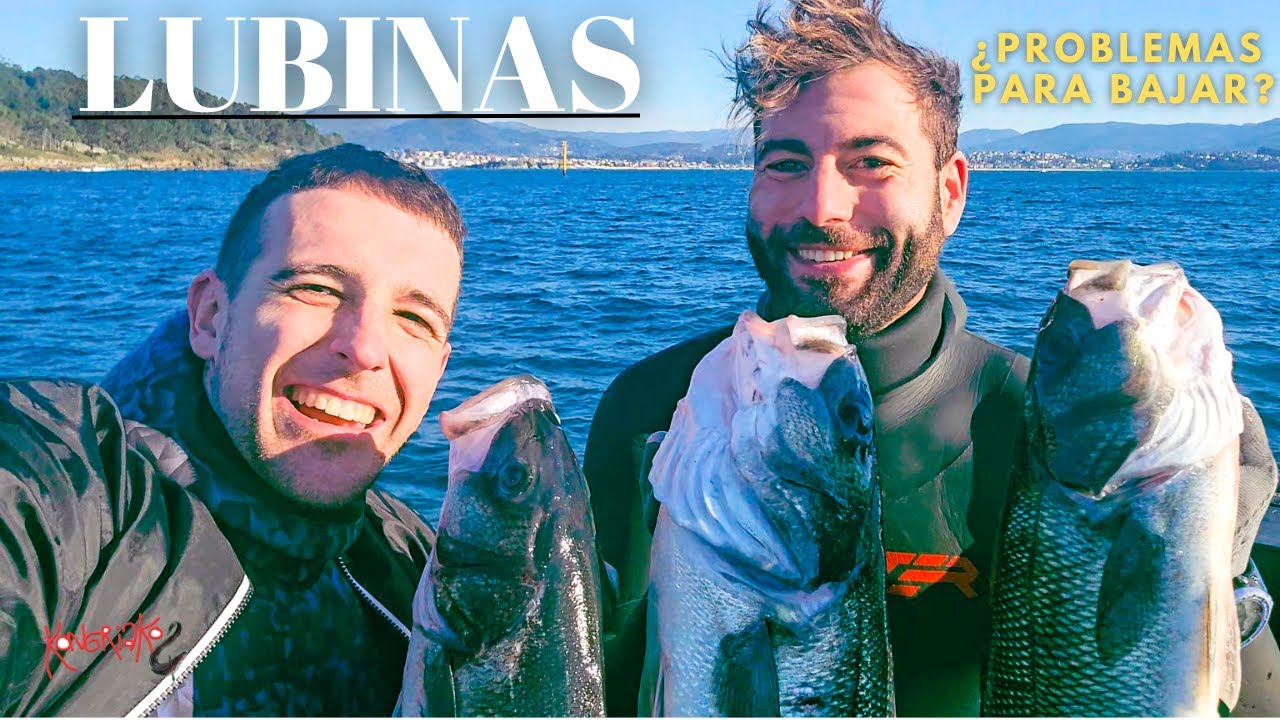 ✅PESCA SUBMARINA🎯PESCANDO LUBINAS🐟¿Qué HACER si te DUELEN LOS OIDOS?