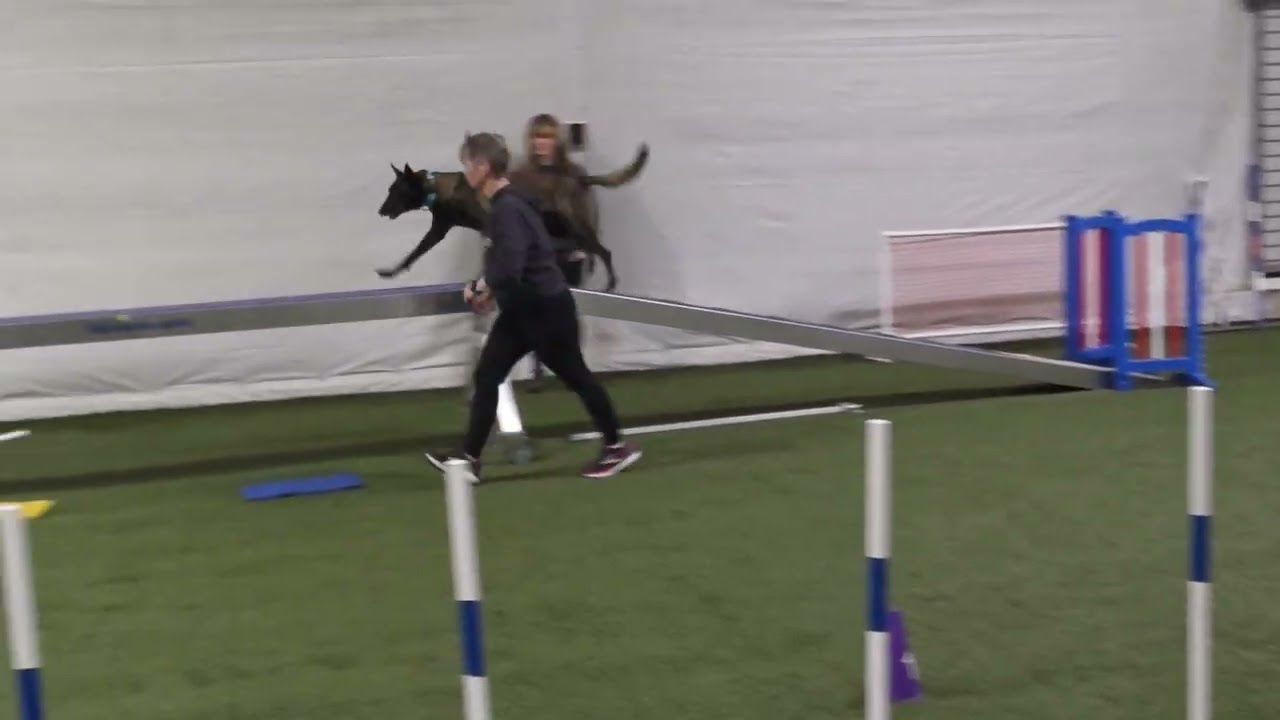 Sekas Agility journey part 1 March 8 2026