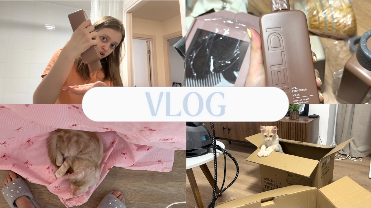 VLOG: Шон ревнует. Отключили горячую воду. Тестируем парогенератор.
