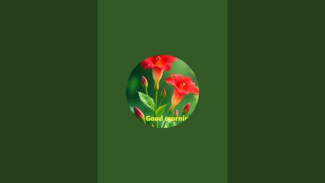 Hussain kerala(India) is live
