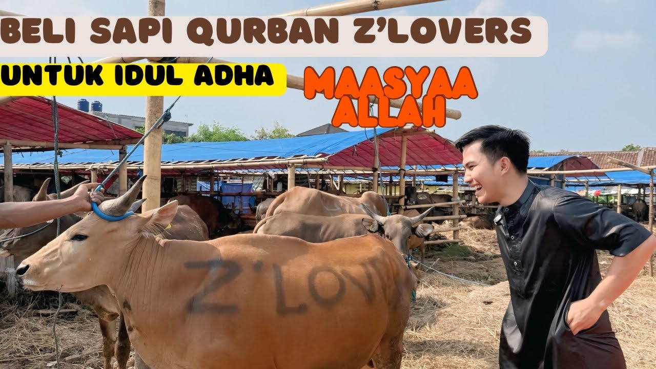 Maasyaa Allah Beli Sapi Qurban Z’Lovers #Zainul #vlog
