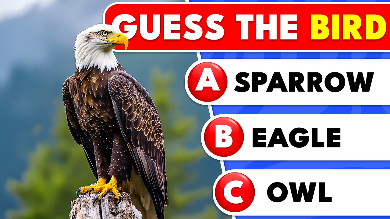 Guess the Bird by Its Image 🦜🦅 | 50 Beautiful Birds Quiz | Knowlio