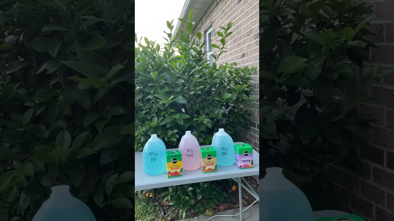 What Is The BEST Fertilizer For Your Garden? Let&rsquo;s Find Out!