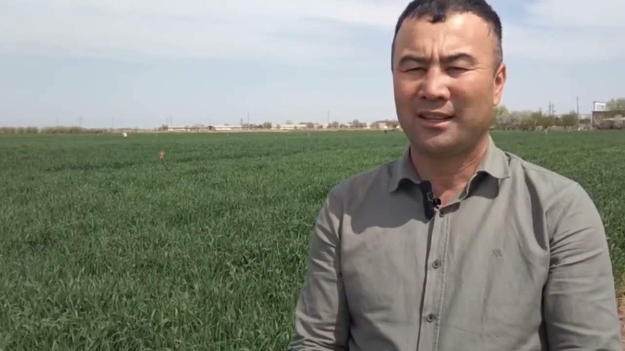 #agro_maslahat