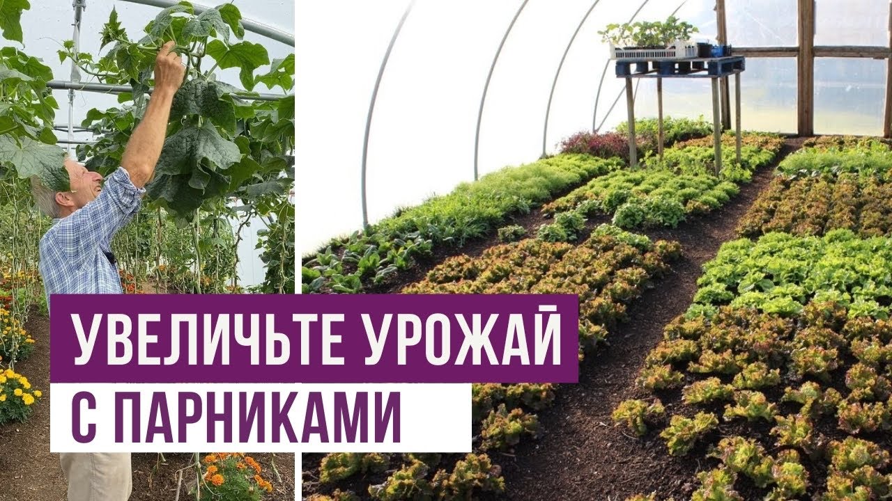 Увеличьте урожай с парниками и БЕЗ копания земли