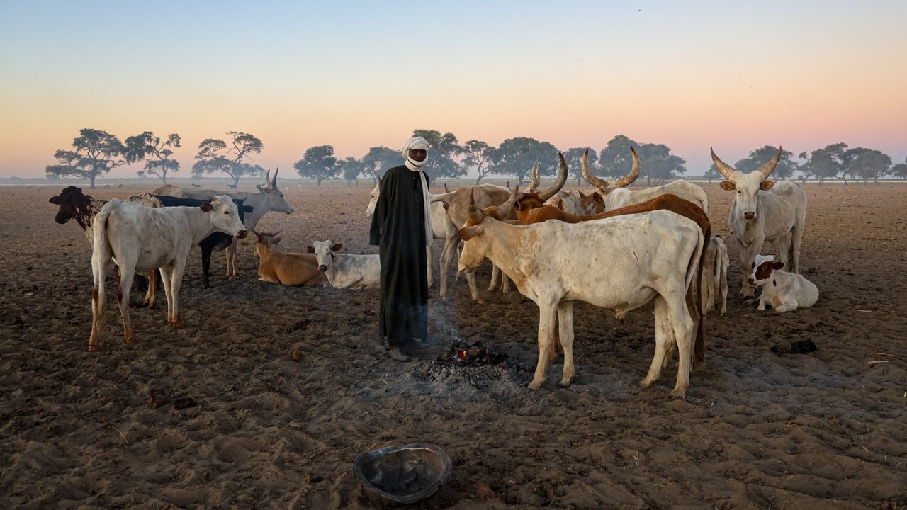 The Buduma people, the water nomads of the Lake Chad