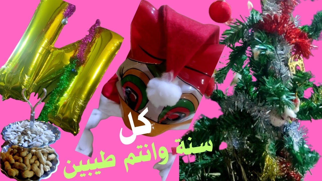 كل سنة ومصر والوطن العربي والعالم كله طيب ٢٠٢٦ سعيدة عليكم 