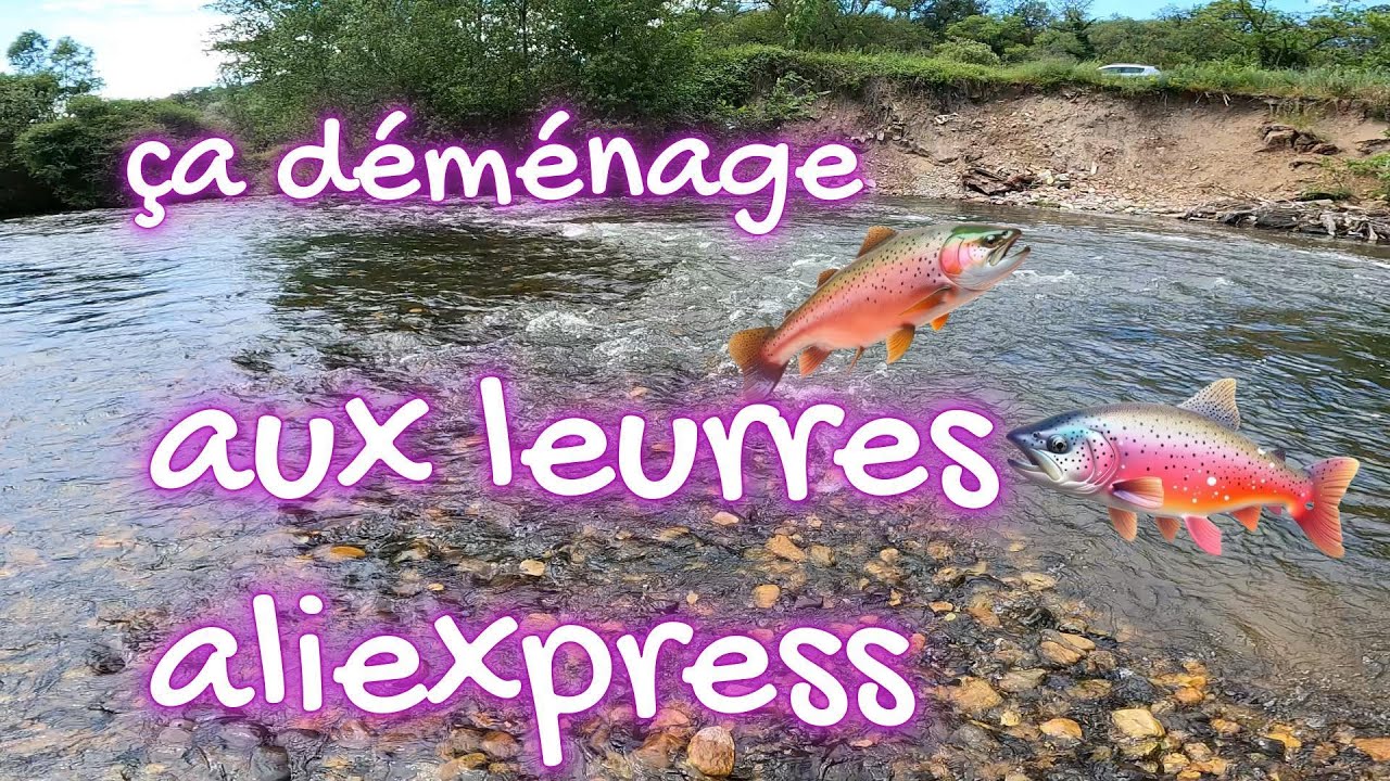 ça déménage aux leurres aliexpress