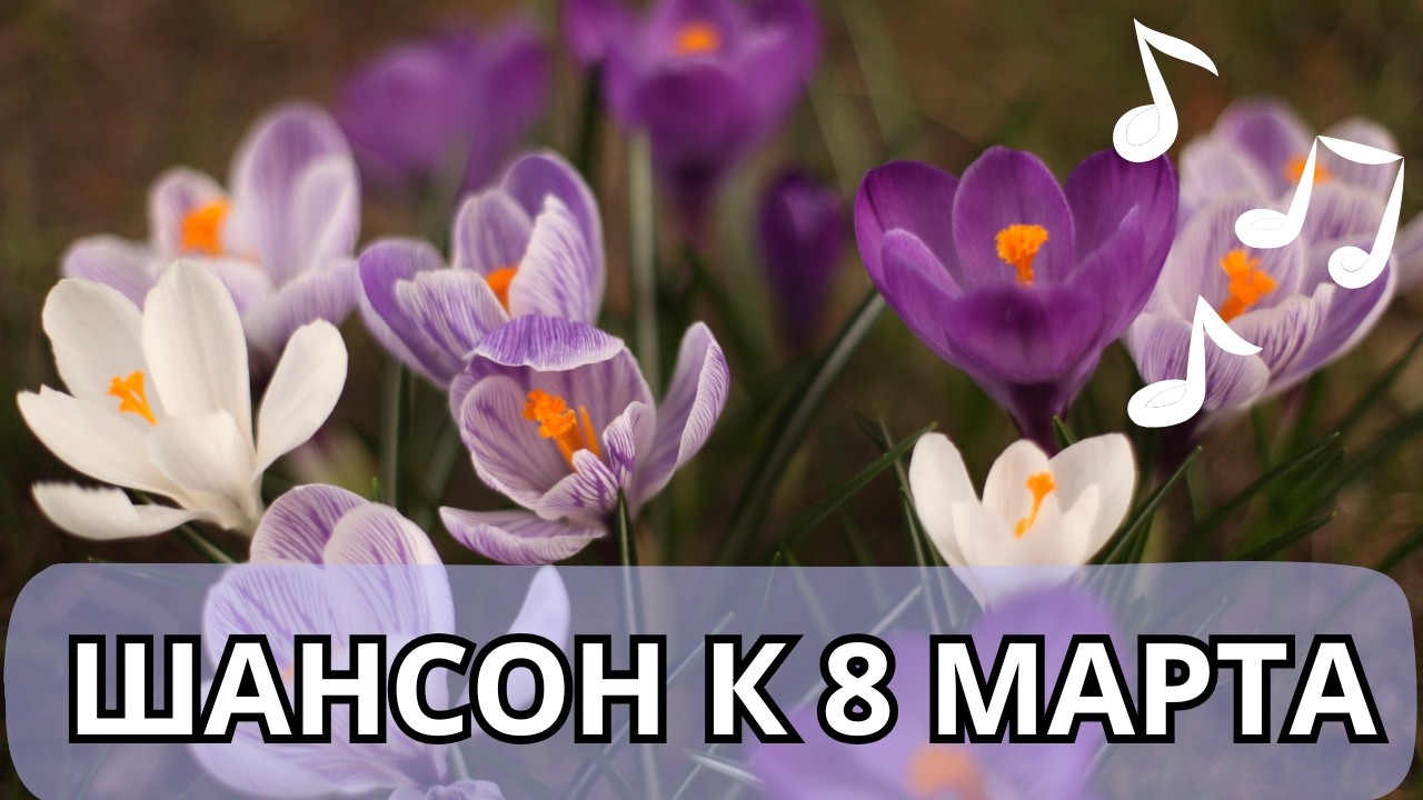 Большой праздничный концерт шансона для женщин к 8 марта, с праздником дорогие и любимые наши!