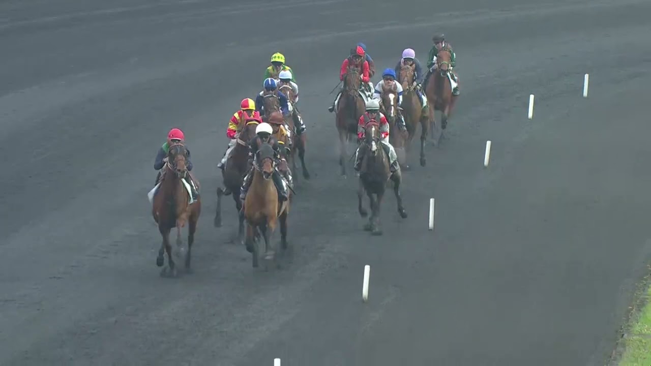 PRIX BILIBILI CORNULIER RACES QUALIF 2 - LA COURSE