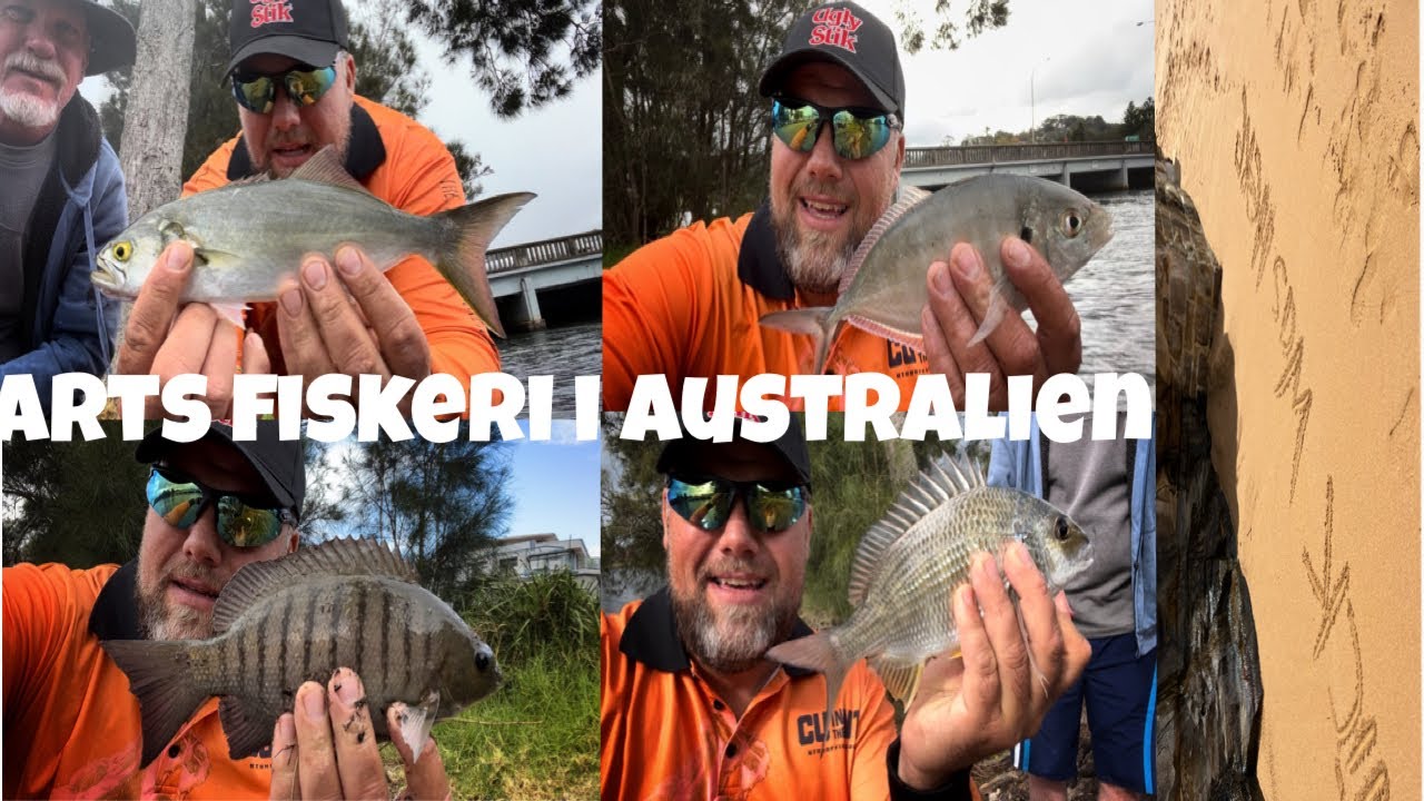🎣 Ultimate Predator Guide DK: Artsfiskeri in Australia! 🦘🌊 Tips & Tricks for Every Angler!