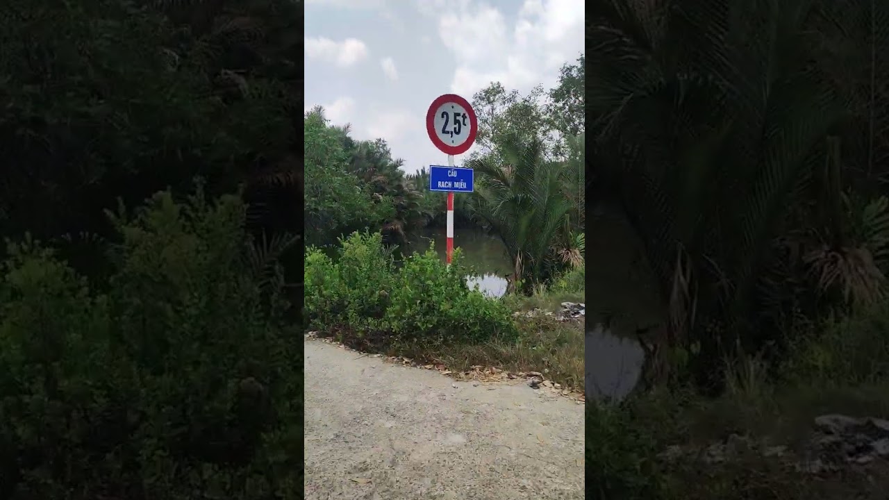 Khám phá Tây Ninh| đường Bông Súng, Phước Vĩnh Tây, tỉnh Tây Ninh #24