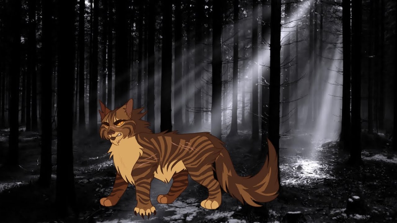 18 WaCa-Katzen, die ich NICHT AUSSTEHEN  kann | Mit Begründung