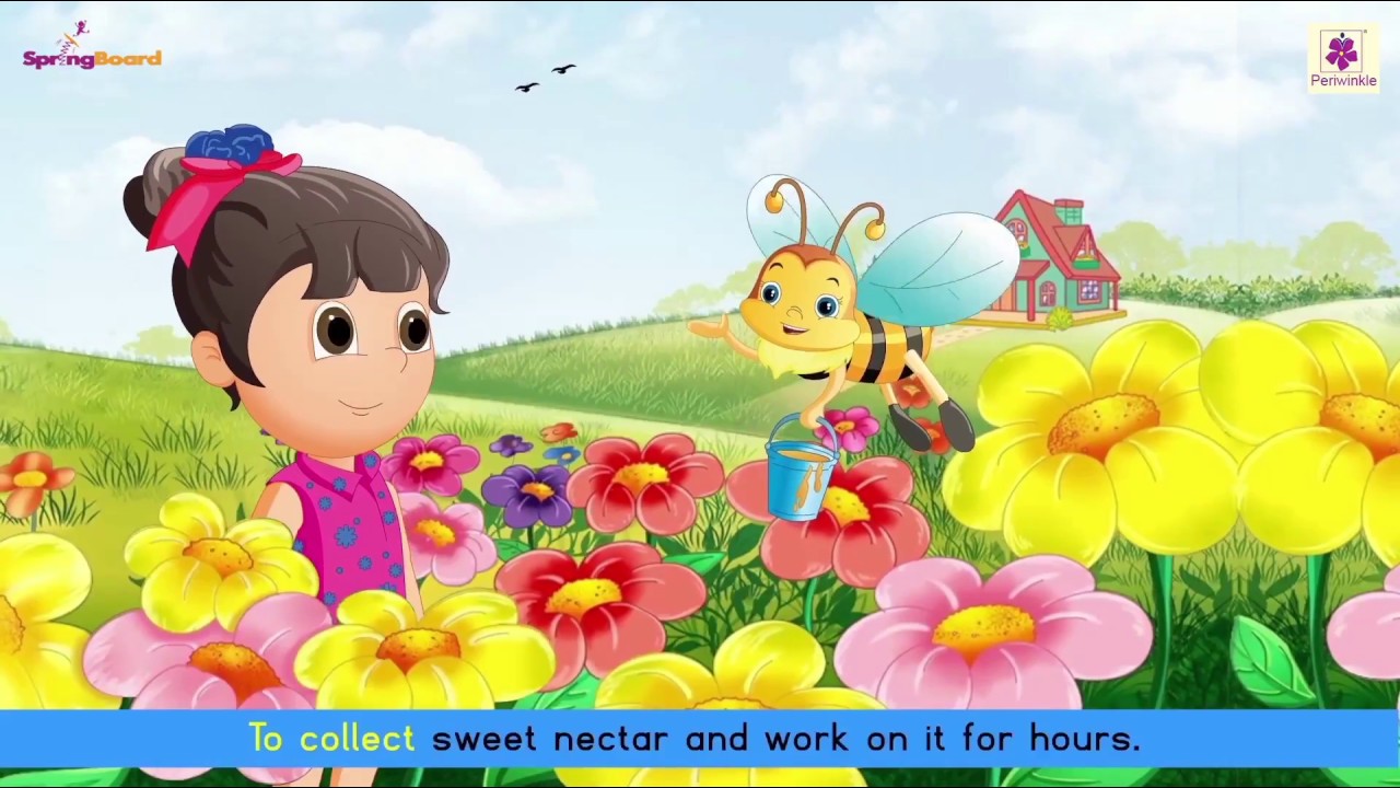 Honeybee Song For Kids | English Rhyme For Children | Periwinkle