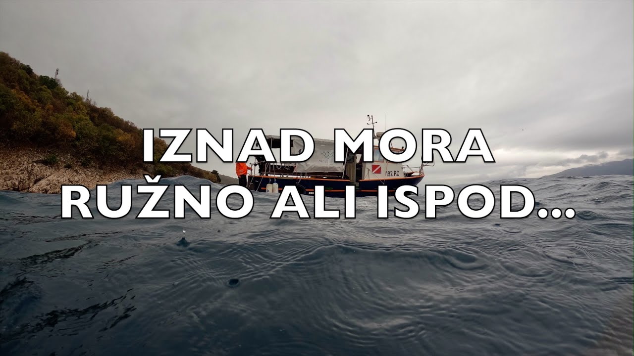 UŽIVO SA JADRANSKOG MORA - UŽIVAJTE