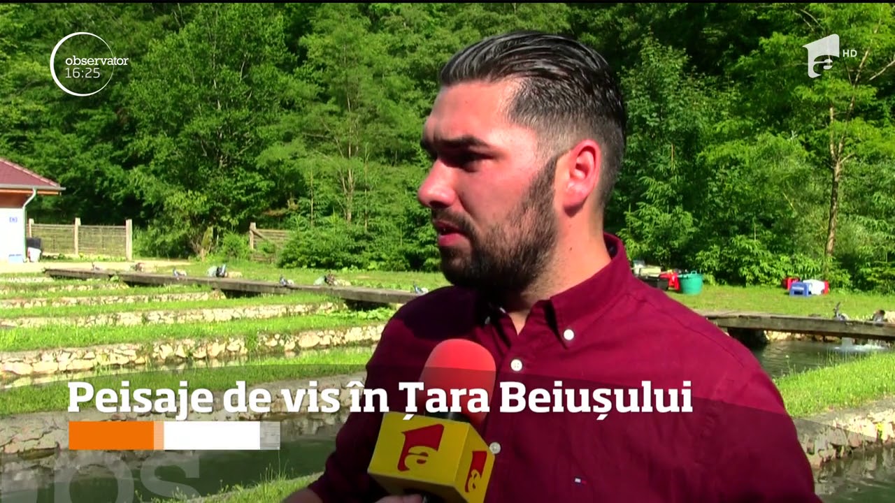 Comuna Roșia, în nordul Țării Beiușului, la poalele munților Pădurea Craiului, una dintre zon